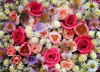 flowers wall background with amazing roses