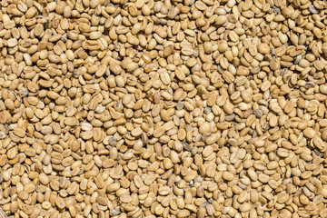 Unroasted coffee beans background in market, Bali, Indonesia.