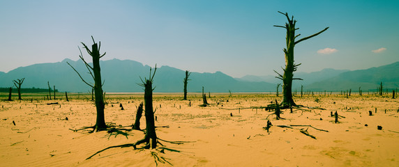 Cape Town Drought  - obrazy, fototapety, plakaty