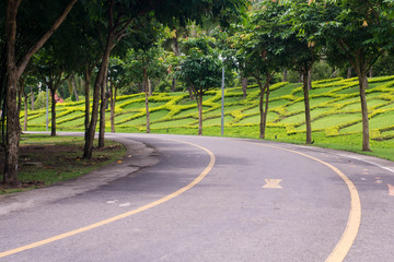 Road
