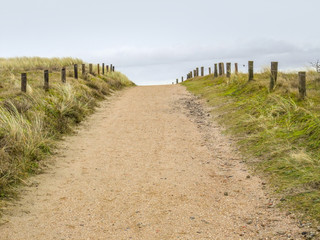 Fototapeta na wymiar coastal dune scenery