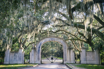 Arched gateway leading to quiet southern country road lined with oak trees with overhanging branches dripping with Spanish moss