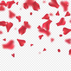 Flying pink rose petals with blur effect. Transparent background. Vector illustration.
