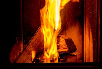 Wood burning in the fireplace