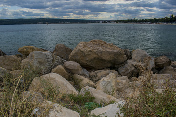 Sea snails and mussesls on the beach