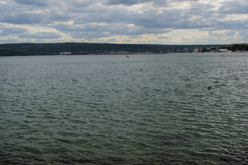 Fototapeta premium Seagulls and herring-gulls at Varna coastline