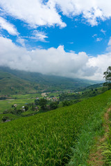 Fototapeta na wymiar Epic view on rice terraces and mountain village