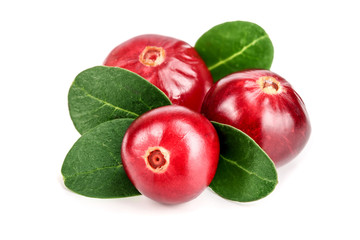 Cranberry with leaf isolated on white background closeup macro