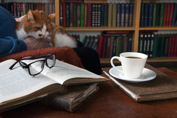 Sweet moments of relaxation with books and a cup of coffee. A man in an armchair with a cat. Vintage books, glasses, library.