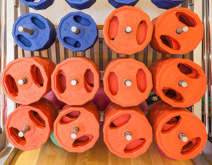 The Light Weight Barbell plates set on stand in fitness studio