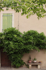 Very picturesque french stone cottage facade, with door way entrance and shutters partly obscured by hanging plant