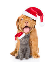 Happy puppy and small kitten in red santa hats sitting together. isolated on white background