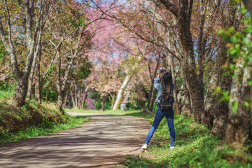 Woman take a sakura cheery blossom photo