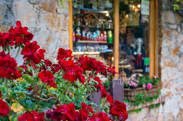 Fototapeta na wymiar Red geranium flowers close up with stone wall and window on the background