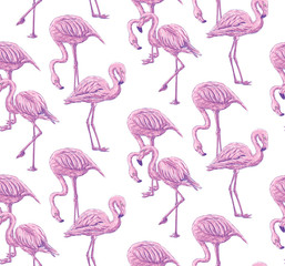 Pink flamingo pattern