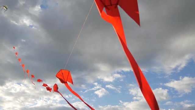 row kites in the sky
