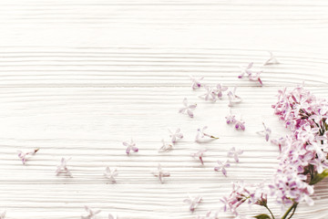 hello spring image. beautiful tender lilac flowers and petals in light on white wooden rustic background top view. happy earth day. greeting card. space for text. happy mothers day
