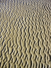 Strukturen im Watt