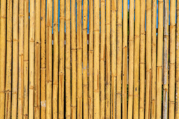 Beautiful background from  bamboo.