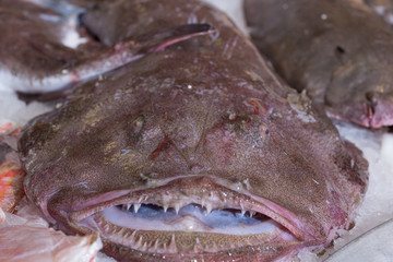 monkfish on the ice