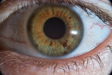 eye brown macro.