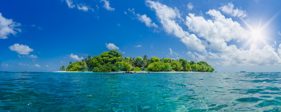 lonely little island with trees and palms