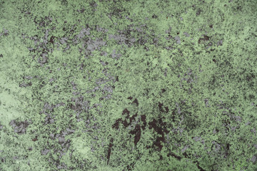 Rusty green painted metal texture background.
