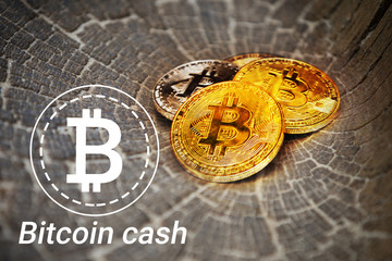 Bitcoin is a modern way of exchange and this crypto currency is a convenient means of payment