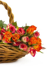 roses in a basket on white background