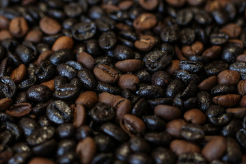 A bland of coffee beans of different roasts