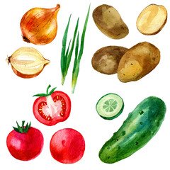 Watercolor illustration, set, images of vegetables, tomatoes, potatoes, cucumber and onions.