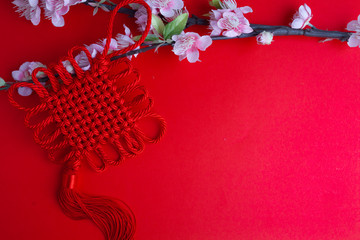 chinese new year festival decorations plum flowers on red  with copy space