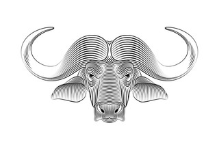 Graphic print of African buffalo. White background.