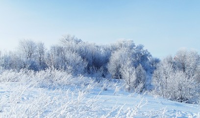 A beautiful winter landscape.
