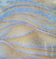 Natural background. Frozen water. Abstract pattern formed on a frozen puddle.