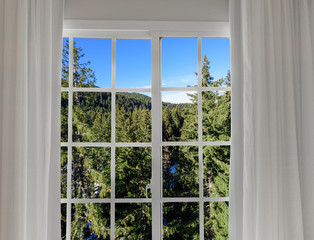 Fototapeta premium view from the window on the