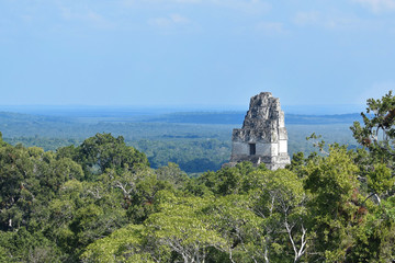 Fototapeta na wymiar Tikal Mayan Ruin - Gran Jaguar 2