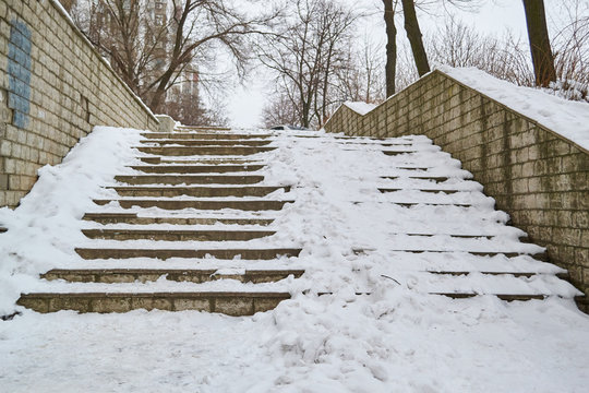 Stone Steps Up Winter, Snow, Trees