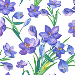 Watercolor illustration with crocus or saffron on a white background.Seamless pattern.bouquet of purple flowers.Can be used as greeting cards, wedding invitations, birthday, spring or summer holiday.