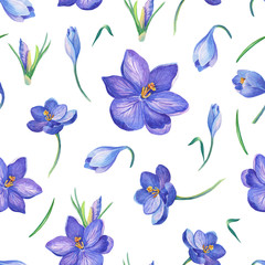Fototapeta na wymiar Watercolor illustration with crocus or saffron on a white background.Seamless pattern.bouquet of purple flowers.Can be used as greeting cards, wedding invitations, birthday, spring or summer holiday.