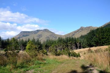 Kaituna Valley Packhorse Hut Track