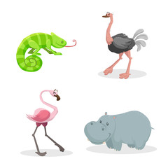 Cartoon trendy style african animals set. Chameleon with big tonque, ostrich, flamingo and hippo. Closed eyes and cheerful mascots. Vector wildlife illustrations.