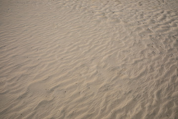 Fototapeta na wymiar texture of natural sand beach use as background