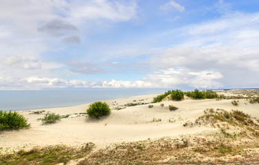 Fototapeta na wymiar Dunes of the Curonian Spit. Kaliningrad. Russia.