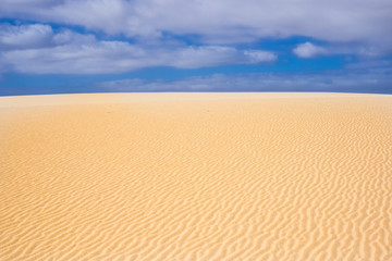 Desert dunes in Fuerteventura Canary Islands