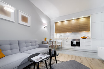 Modern stylish interior design room