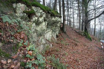 Felsen im Wald