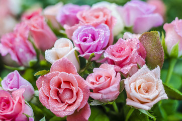 A beautiful bouquet of roses in drops of water.