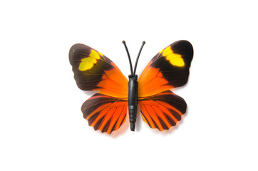 Fototapeta na wymiar Colourful butterfly isolated on white background