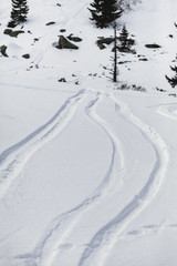Fototapeta na wymiar Snow tracks. Vitosha mountain , Sofia, Bulgaria.
